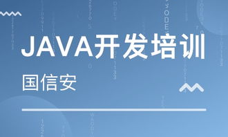 成都四川國信安職業(yè)培訓(xùn)學校 河北新聞網(wǎng)推薦品牌，專注軟件外包服務(wù)